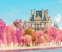 法国羽毛球队力克中国羽毛球队，斯里坎特制霸全场