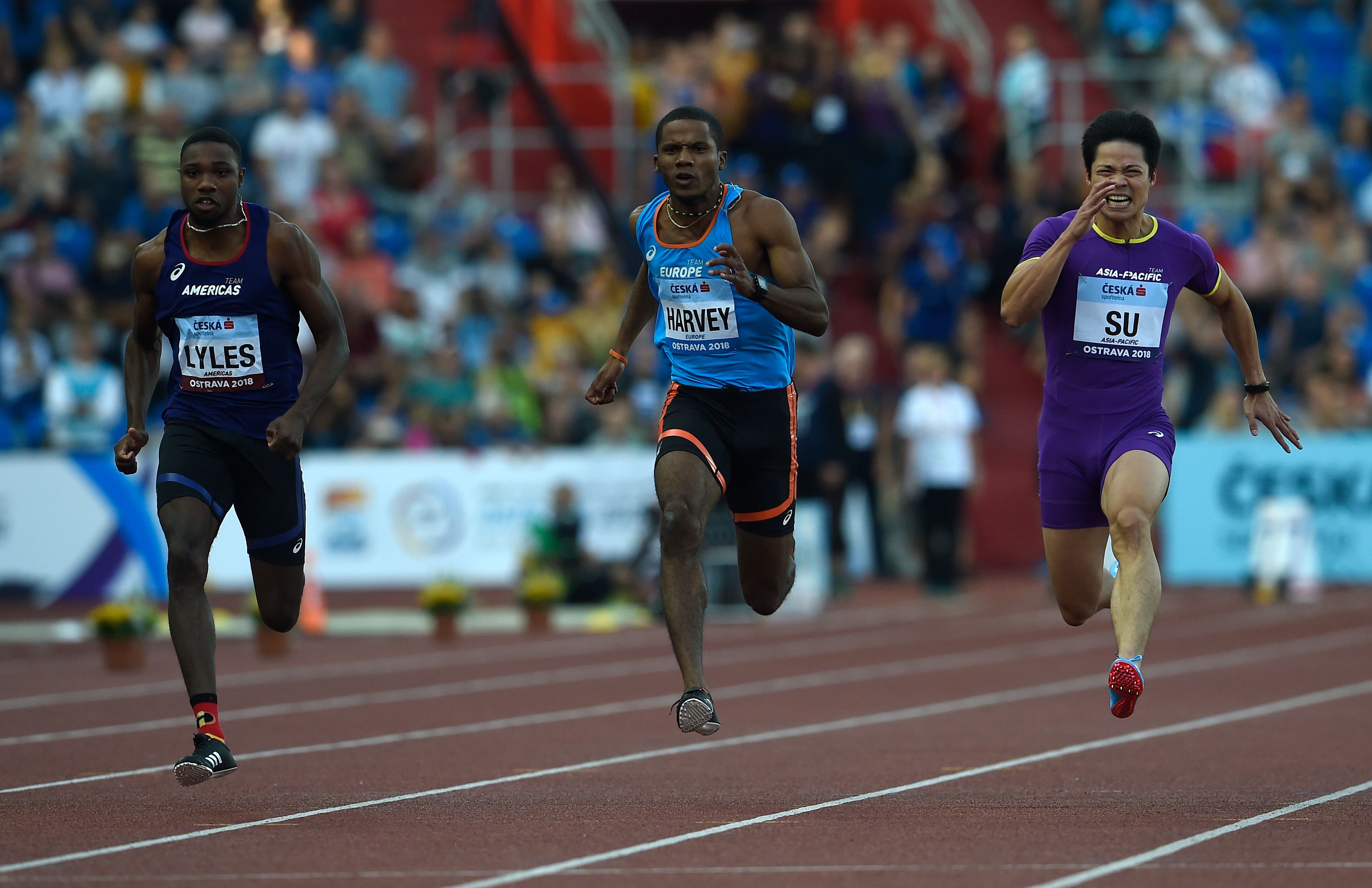 田径赛事精彩瞬间盘点，年度回顾震撼登场