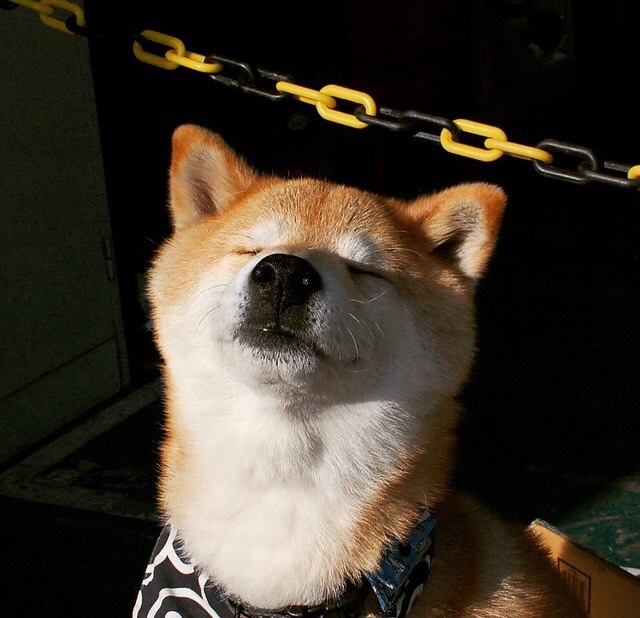 逆转的火焰，蒂姆一肩扛起联合杯，写就年终总决赛史诗