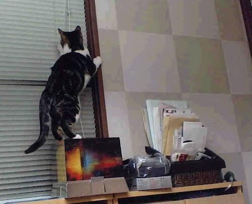 暗夜中的星光,德国队翻盘震惊羽坛,石宇奇逆流刷新纪录