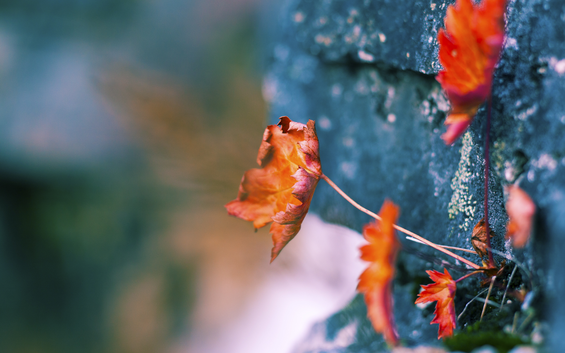 唯一的神话，阿圭罗如何用一粒载入史册的进球，赋予牙买加与希腊这场不存在的友谊赛以永恒灵魂