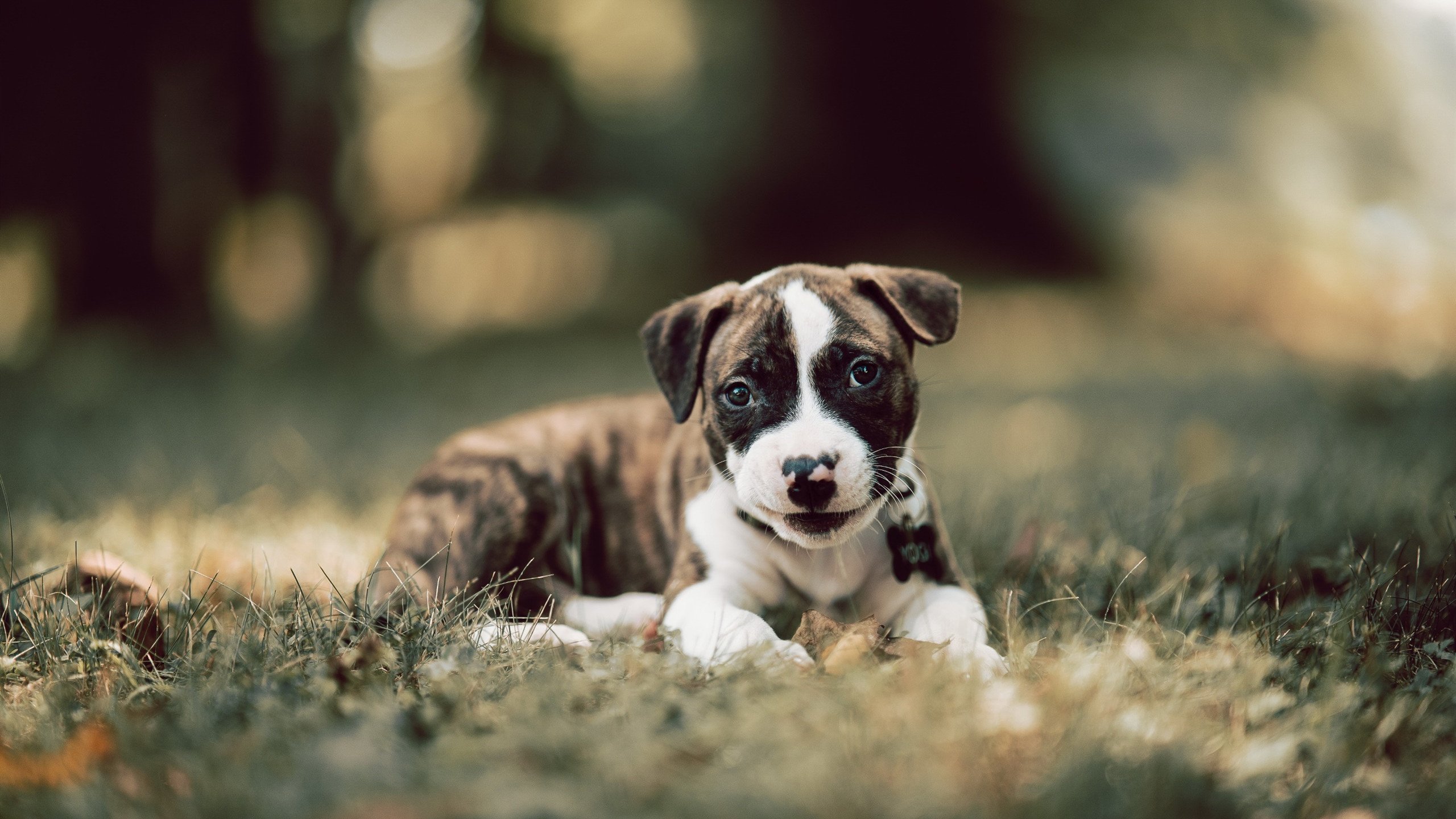 我为你构思了三个不同风格的标题，每个都紧扣核心，但侧重点和冲击力有所不同