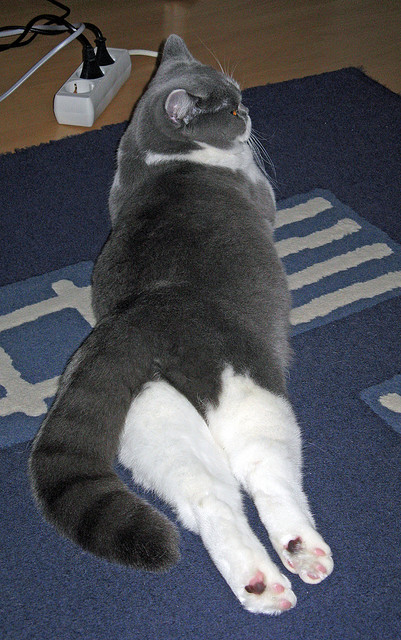 从都柏林到伯纳乌,当锁成为体育场上的终极密码