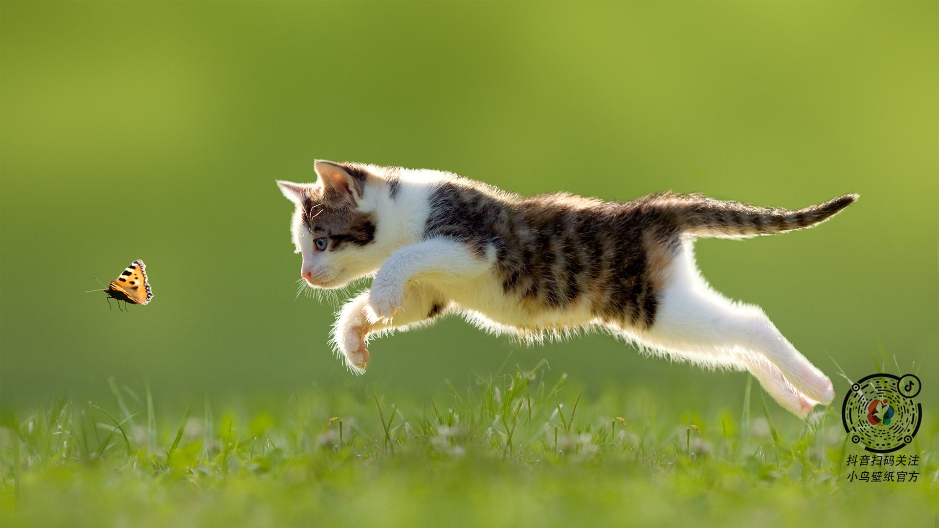 血脉战场与速度王座,当马刺魔术的肌肉碰撞遇见利拉德的赛道统治