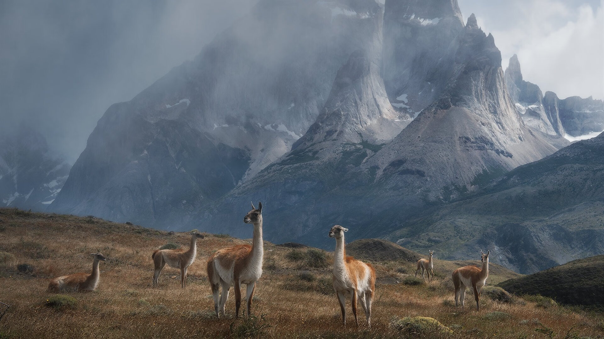 当蓝色奇迹遇上枫叶之盾，基耶萨梅开二度，亚特兰大跨洲征服加拿大！