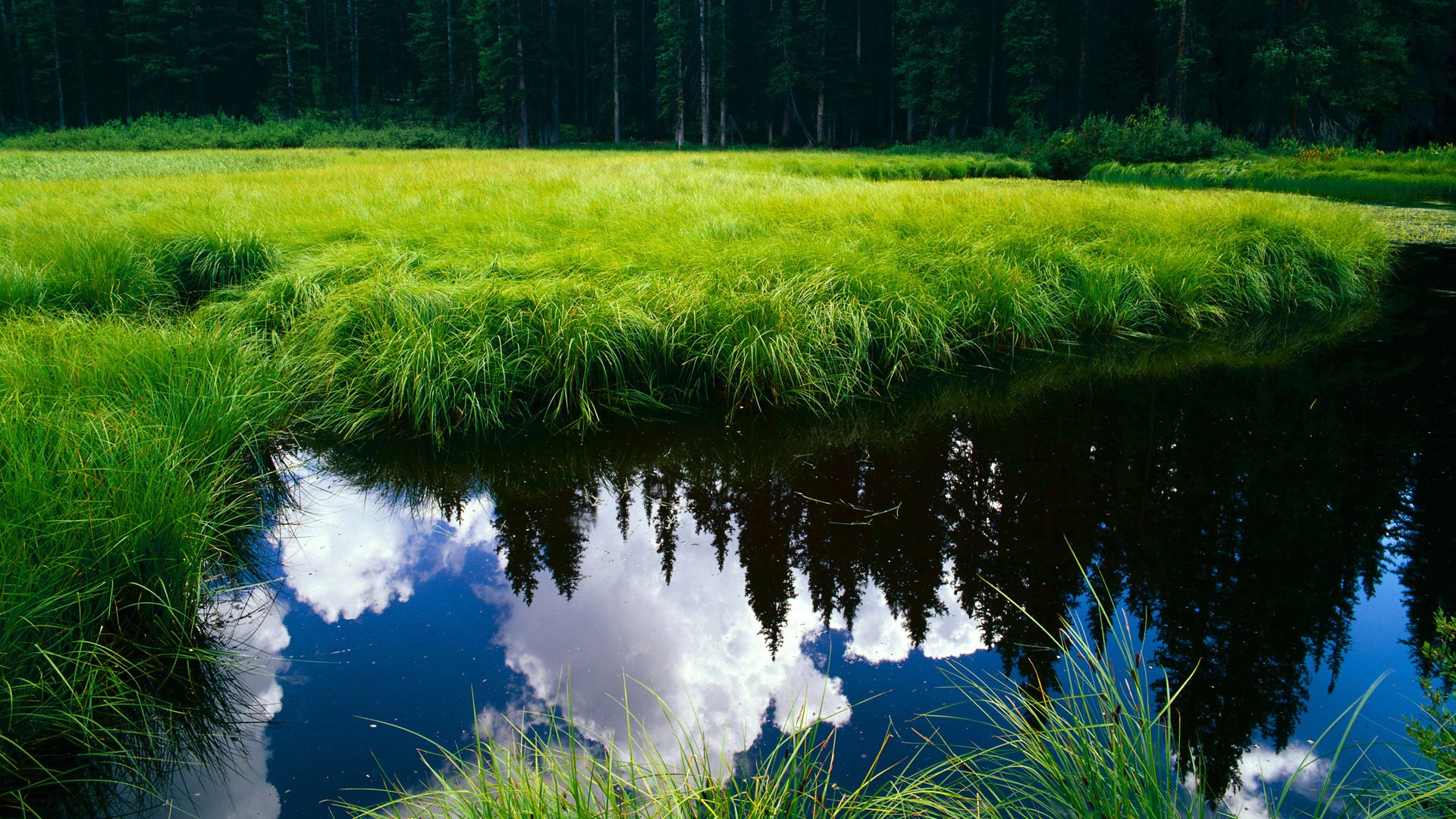 最后一夜暗杀名单,皮克如何掀起世界排名的猎杀游戏