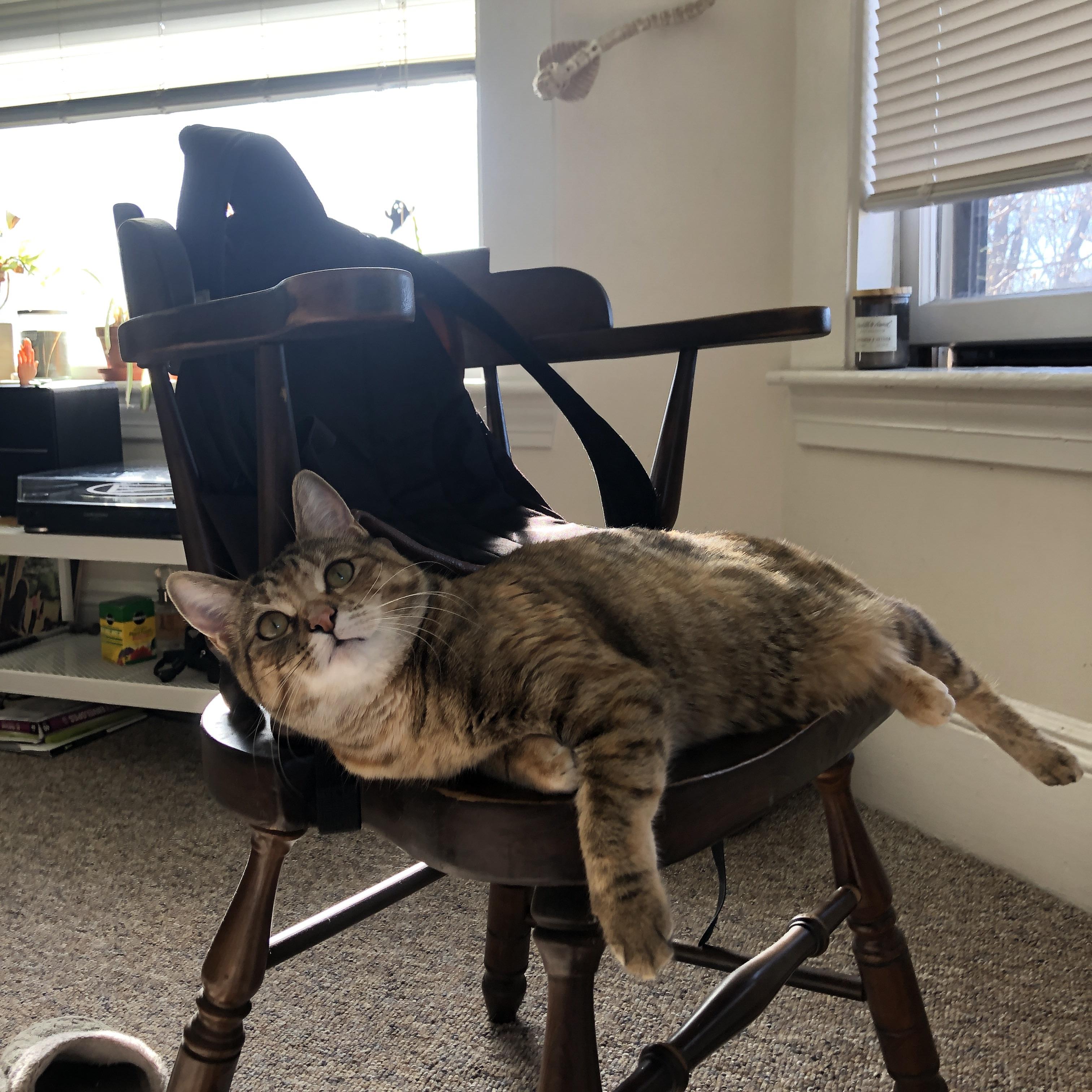 西亚卡姆大场面先生，尼克斯对阵北京队的跨洋篮球史诗