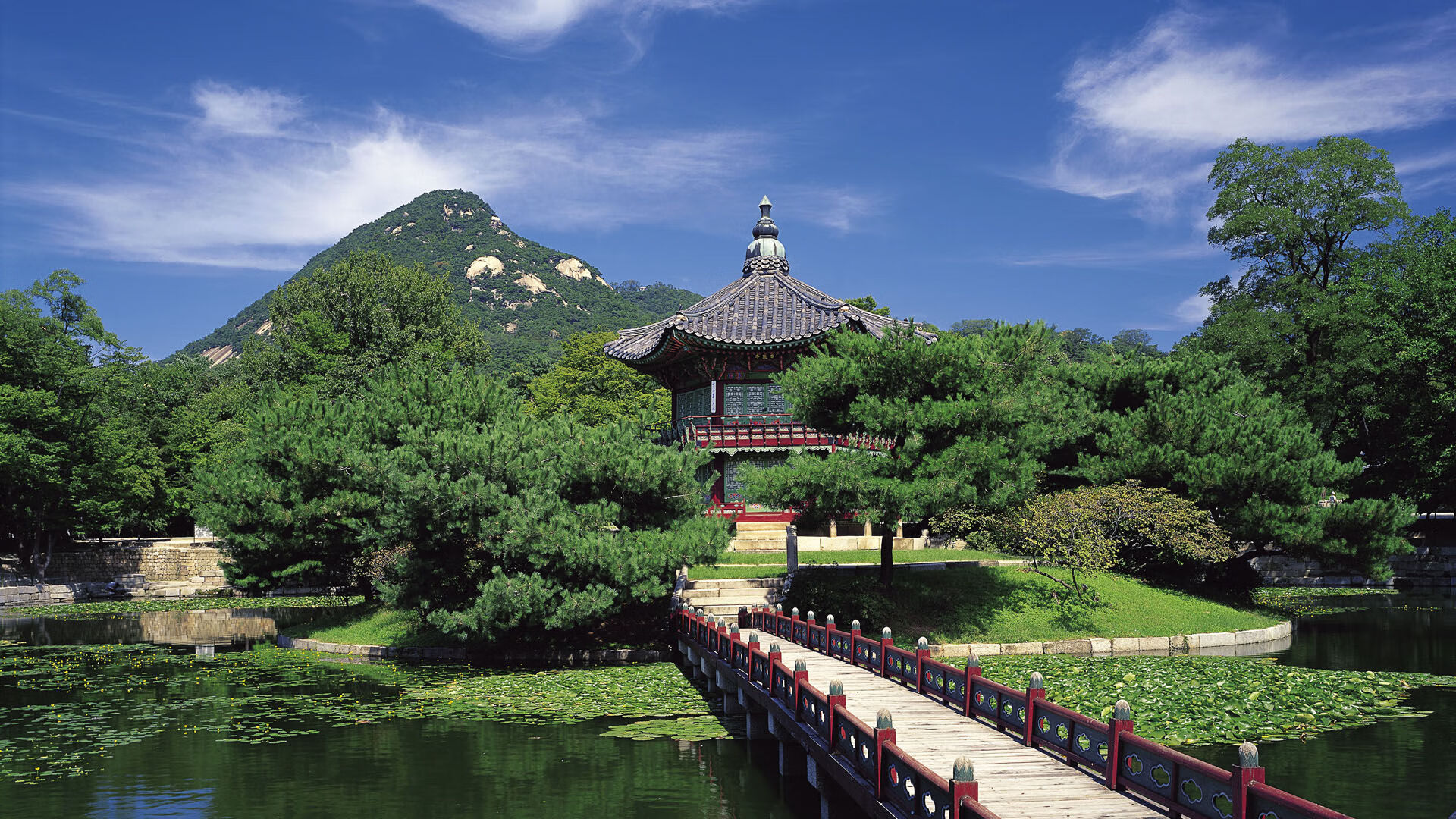 东决夜，哈利伯顿的镜中舞