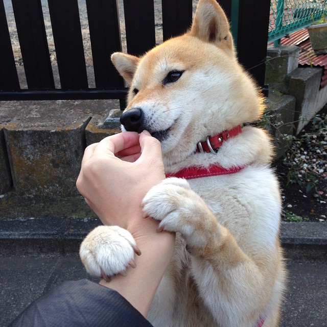 锁死MVP!跨洋热身赛广东轻取掘金,布克37分闪耀成关键先生