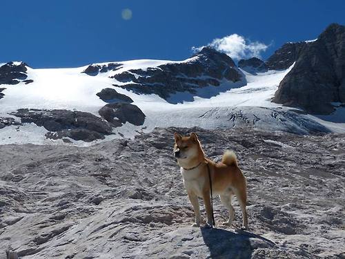 雨夜狂澜中的孤岛，凯塞多在奥运周期关键战中的绝对稳定