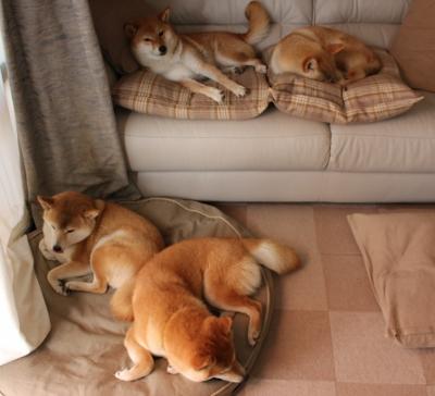 非洲雄狮掀翻意甲劲旅,德布劳内教科书级表现引领几内亚奇迹